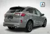 Ford Kuga 2,5 Ladattava hybridi (PHEV) 225hv CVT FWD ST-Line X Business Edition 5-ovinen Thumbnail 2